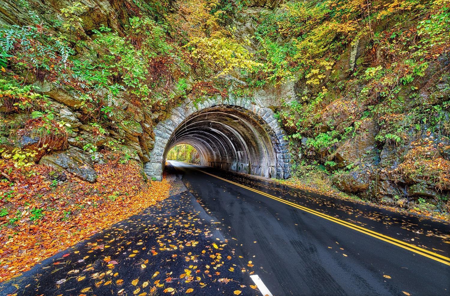 Key Lime Pie, Hot Tub,Wifi, 1089 Free Tickets Each Paid Day, Dollywood And More Gatlinburg Exteriér fotografie