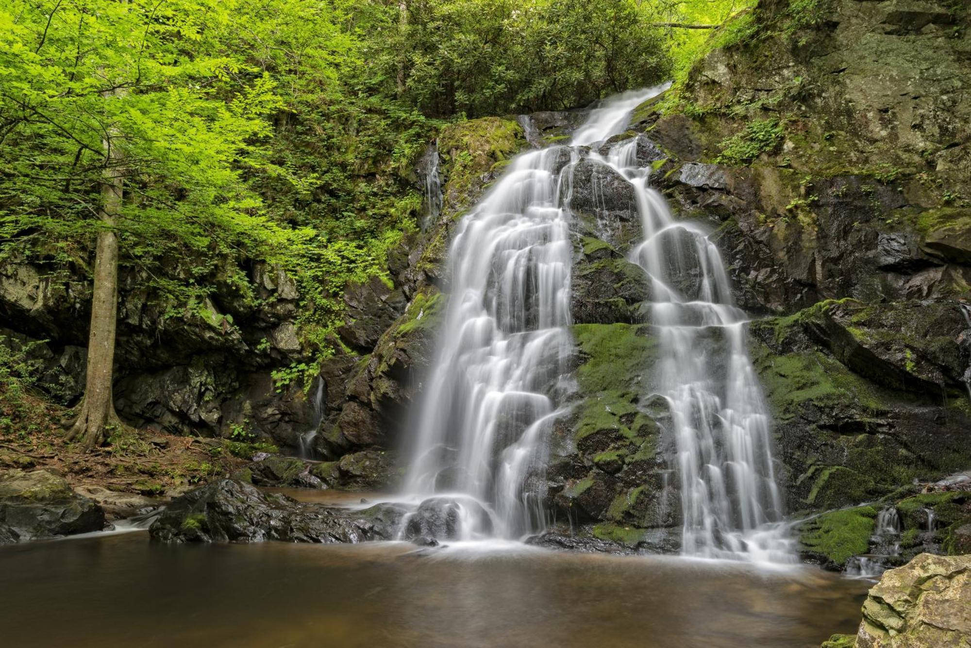 Key Lime Pie, Hot Tub,Wifi, 1089 Free Tickets Each Paid Day, Dollywood And More Gatlinburg Exteriér fotografie