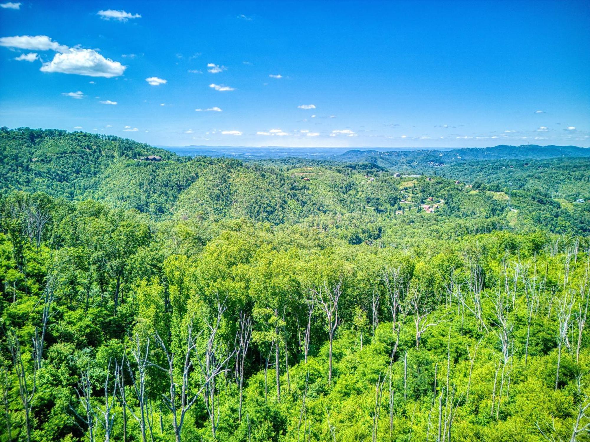 Key Lime Pie, Hot Tub,Wifi, 1089 Free Tickets Each Paid Day, Dollywood And More Gatlinburg Exteriér fotografie